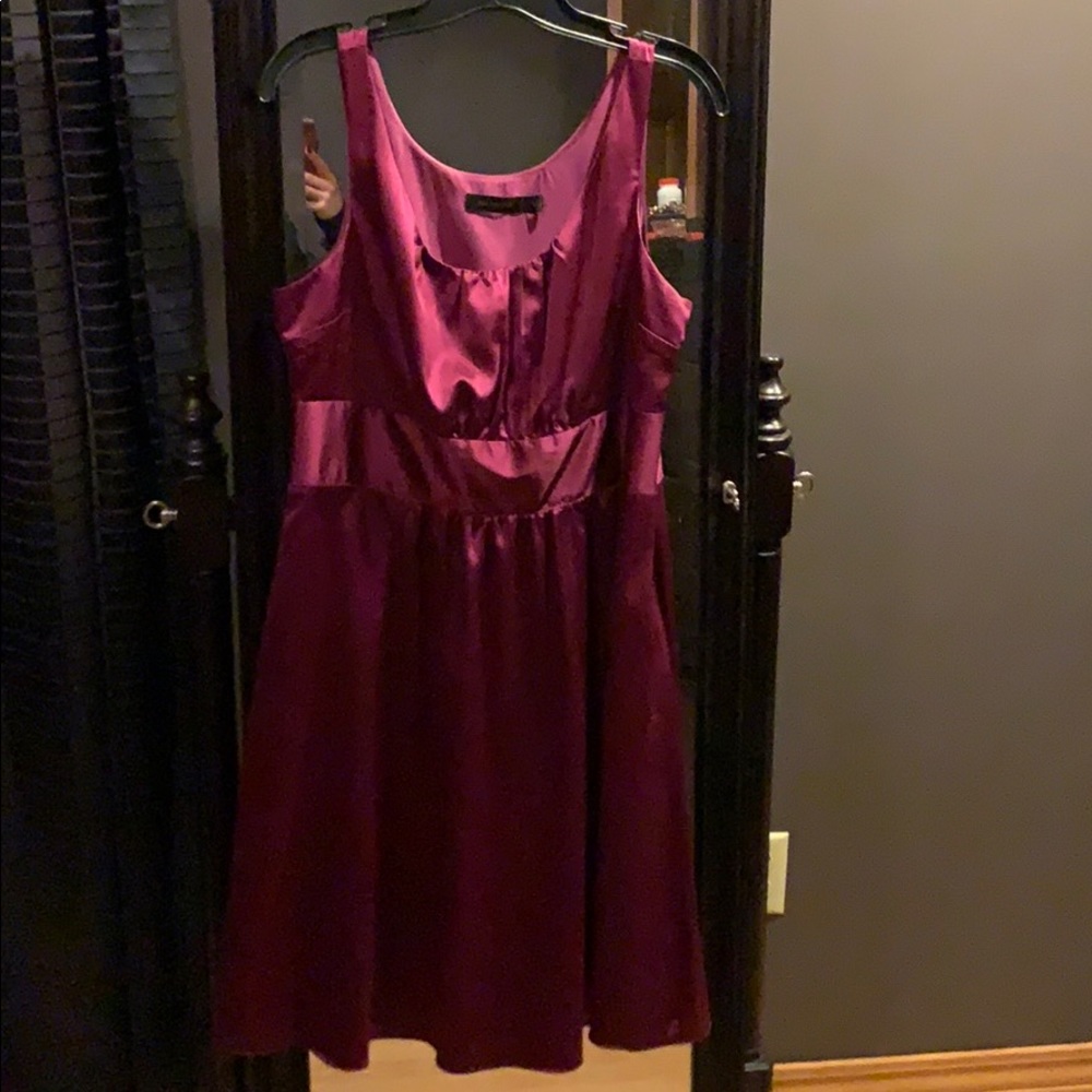 The Limited Magnet dress